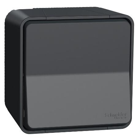 Pārslēdzis v/a 10A antracīts IP55 IK08 MUREVA - Image 1