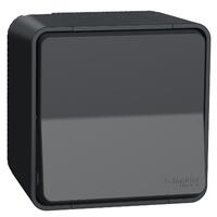 Pārslēdzis v/a 10A antracīts IP55 IK08 MUREVA
